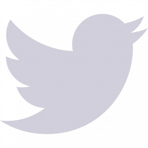 Logo twitter.png